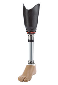 Below-Knee Prosthesis